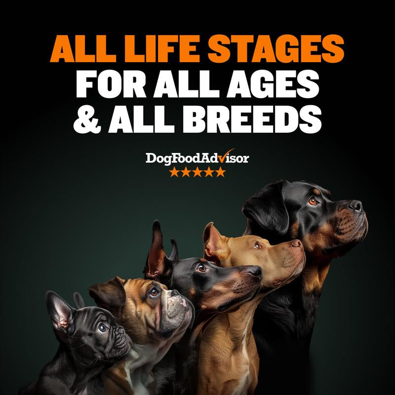 Bully Max 30/20 High Protein Dog Food 535 Calories per Cup with Trumune Technology, Supports Muscle Growth, Made in the USA, Suitable for All Ages