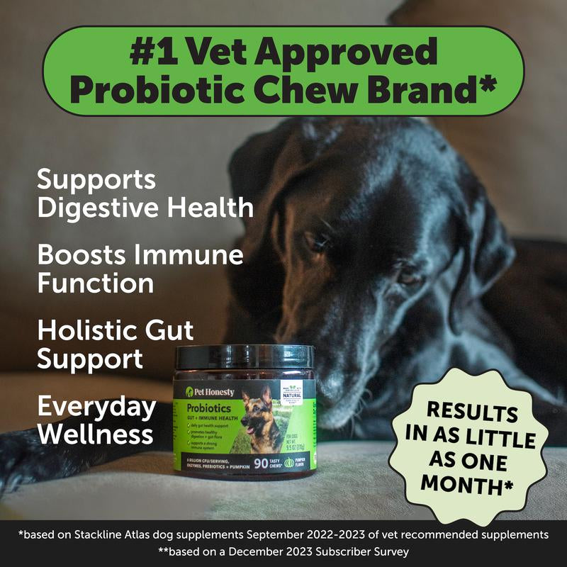 Pet Honesty Probiotics for Dogs, Pet Digestive Relief with Prebiotics, Fiber, & Digestive Enzymes - Promotes Gut & Immune Health - Made with a Natural Blend of Ingredients to Support Diarrhea