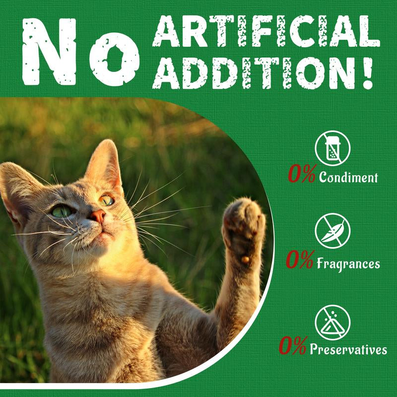 JUST TRY 13.4 OZ Cat Grass Treats Natural Salmon Flavor Healthy Cat Snacks Training Biscuits Catnip for Cats Dental and Hairball Control Treats